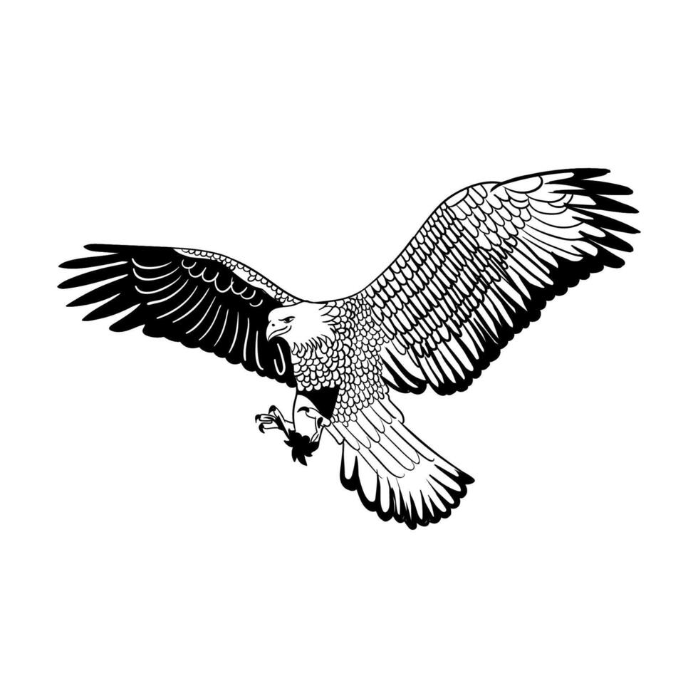Eagle silhouette illustration vector