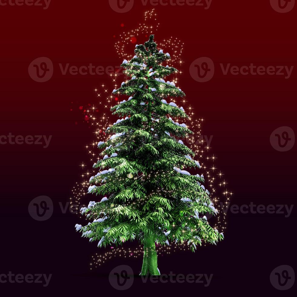 A christmas tree with snow on it photo