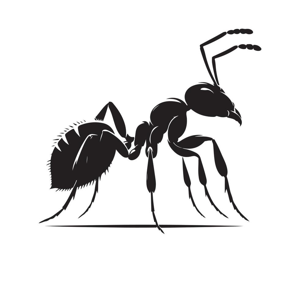 Black silhouette ant vactor vector