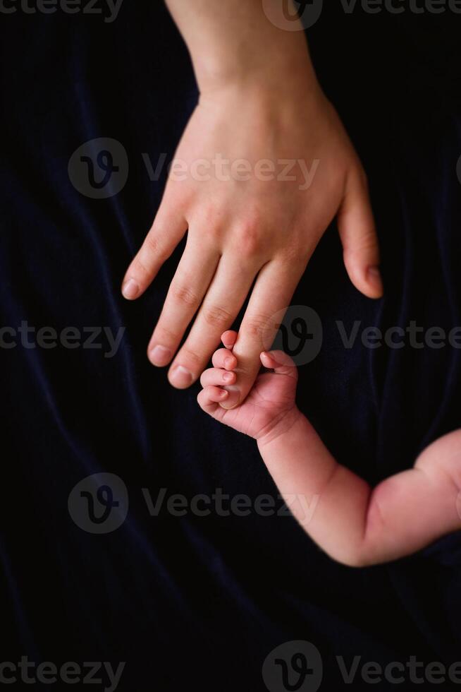 A newborn baby is held by a person's hand photo