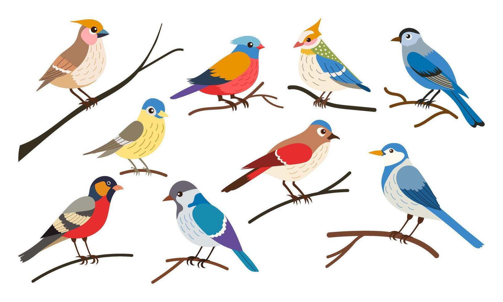 A group of colorful birds are perched on a branch. The birds are of various sizes and colors, including blue, red, yellow, and green. The scene is peaceful and serene vector