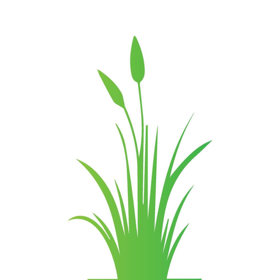 illustrations in flat style. green leaf. Grass vector