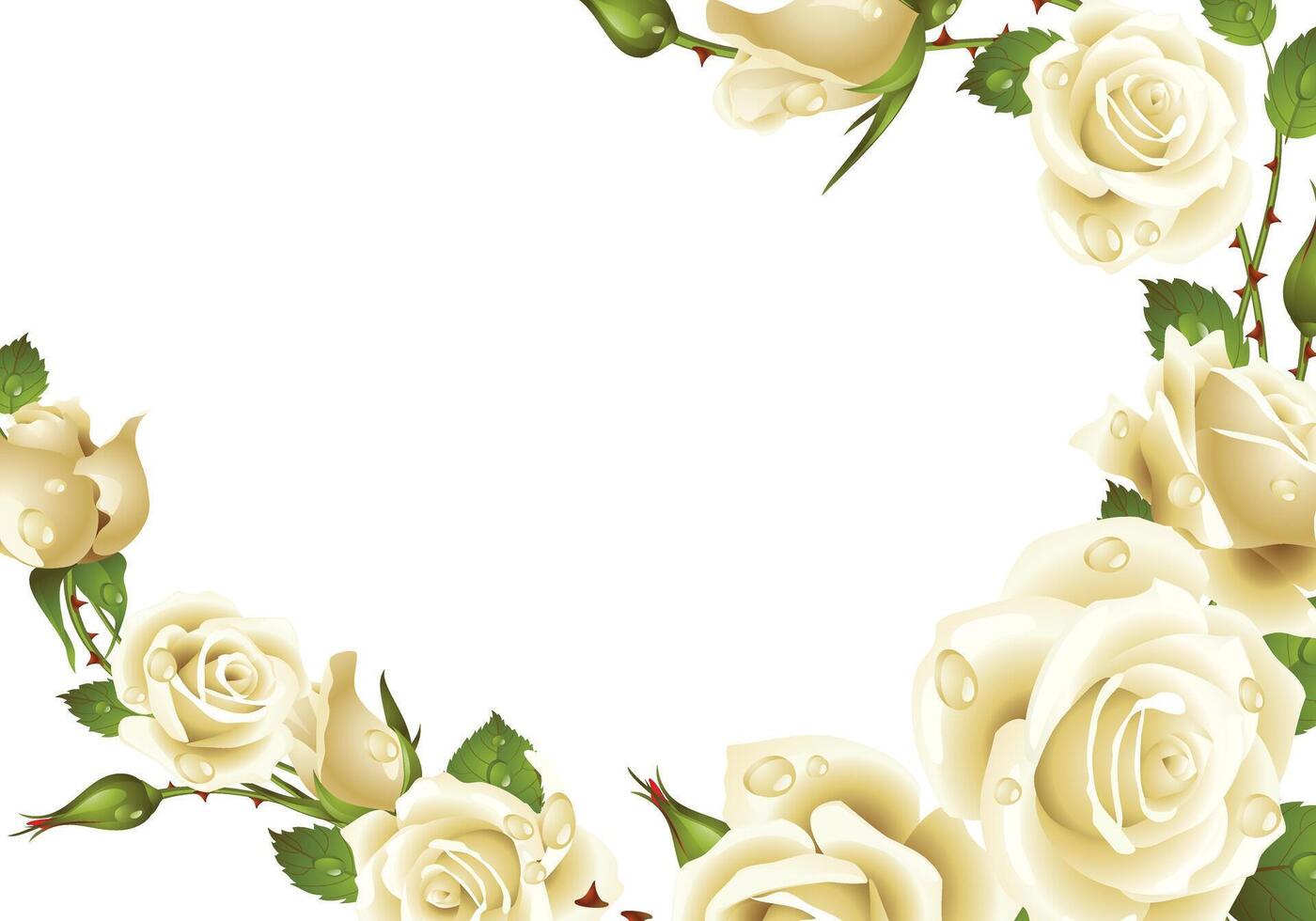 Elegant White Roses Floral Border Frame vector
