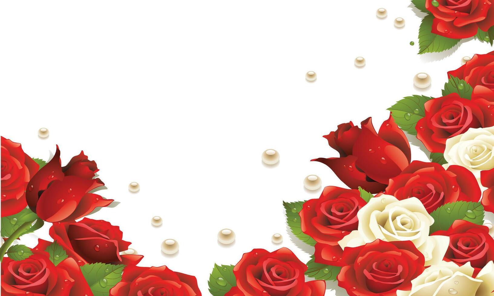 Romantic Rose Frame with Dew and Pearls vector