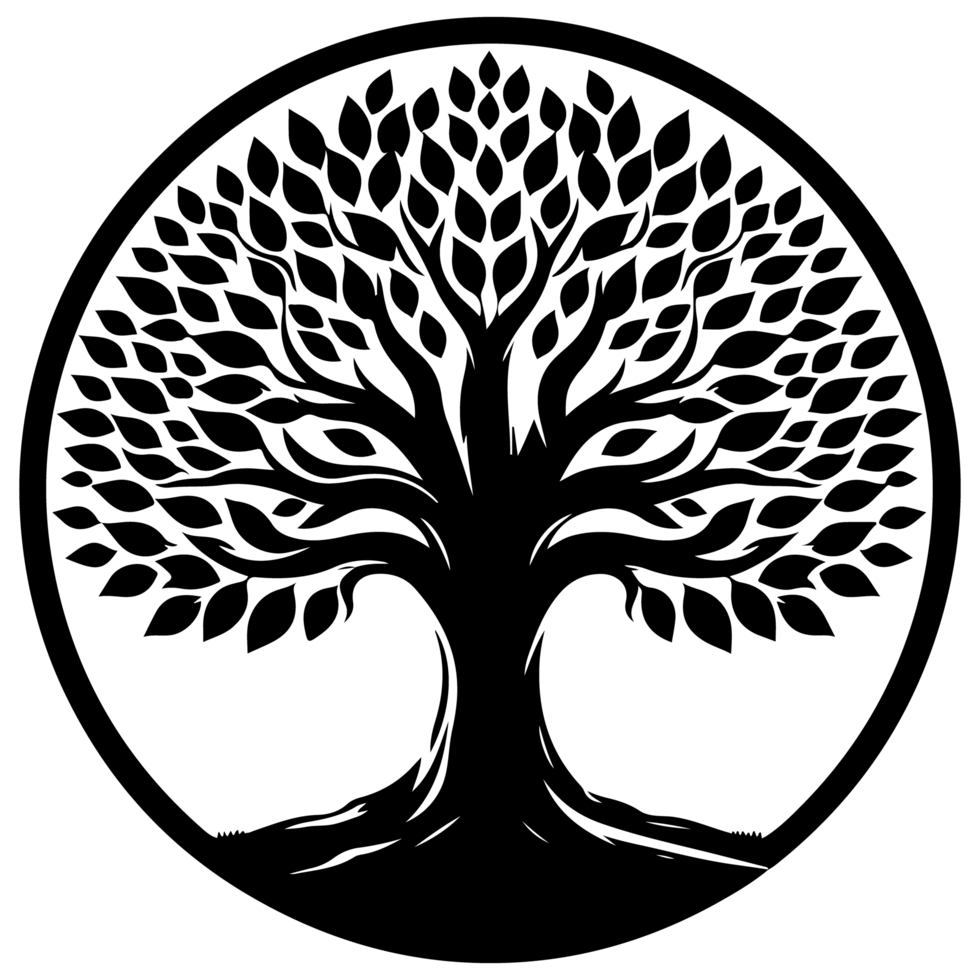 Silhouette of a Tall Tree png