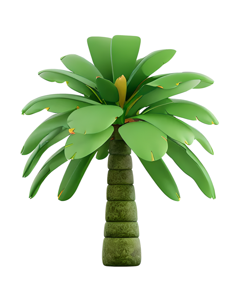 tropical tree Illustration png