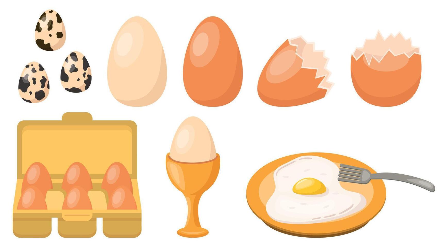 Chicken eggs set, quail eggs, fried or raw, broken eggshell, poached egg, package of eggs in flat style. vector