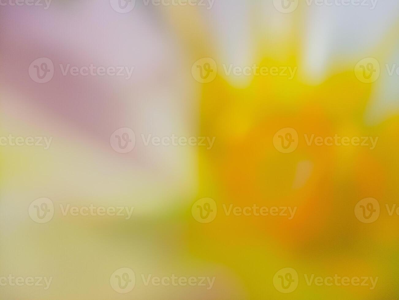 A softly blurred and abstract close-up of a flower, likely a dahlia or similar bloom. photo