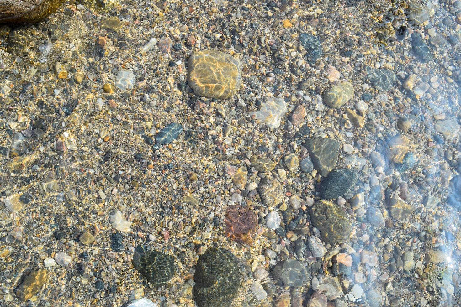 Under bright sunlight, a riverbed is visible with various smooth pebbles and stones glimmering beneath the clear water, creating a serene natural atmosphere. photo