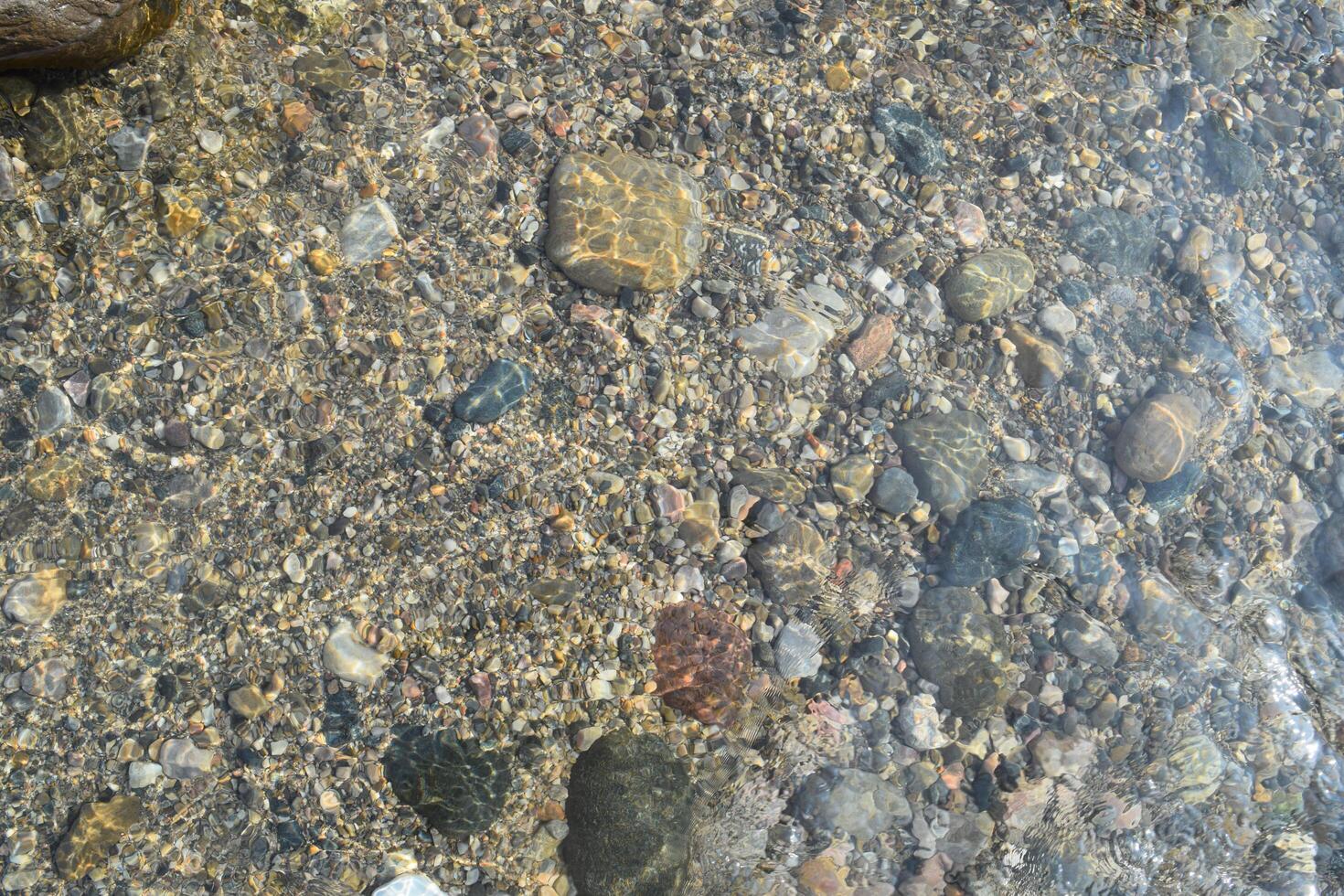 The sunlight filters through clear water, showcasing an array of smooth, colorful pebbles resting on the streambed, enhancing the natural beauty of the landscape. photo