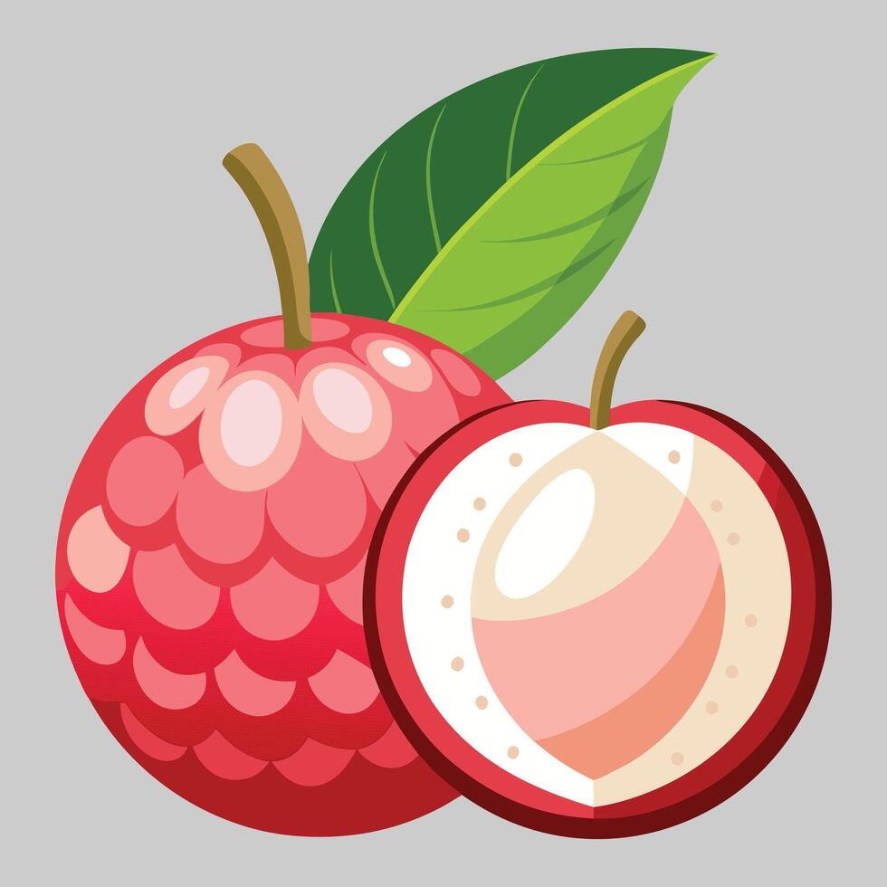 illustration of a litchi fruit vector