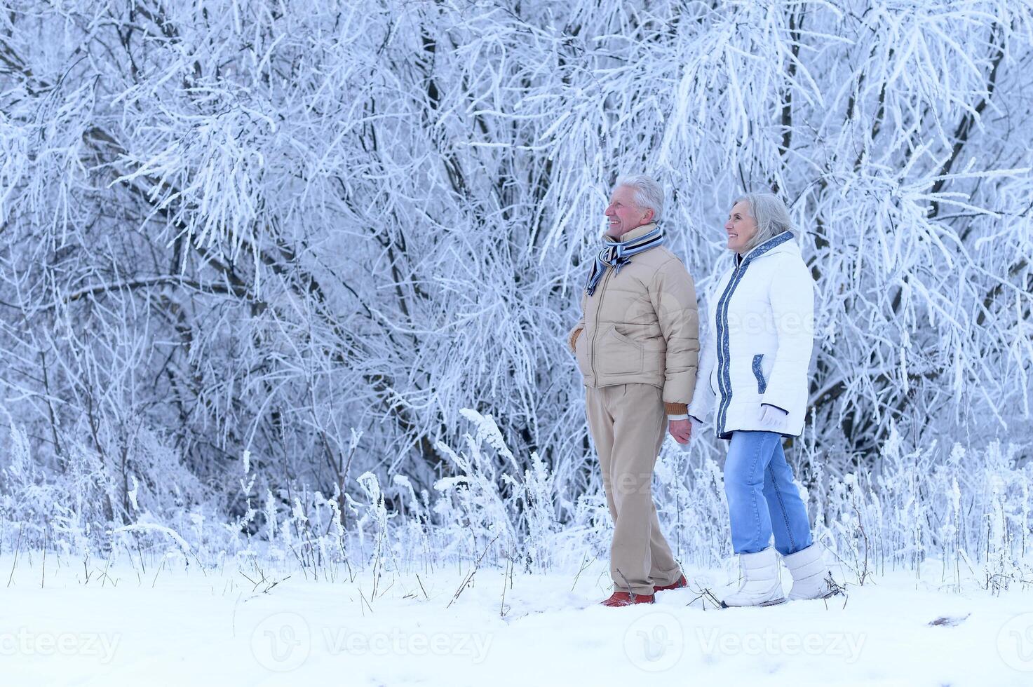 Portrait of beautiful elderly couple rejoice together in winter photo
