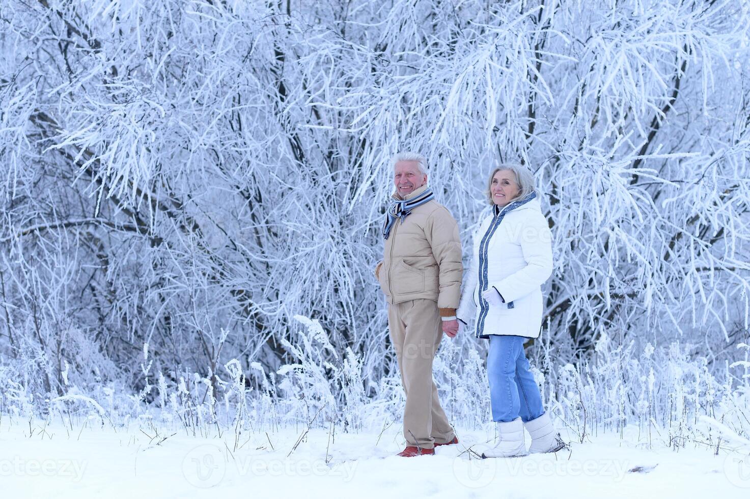 Portrait of beautiful elderly couple rejoice together in winter photo