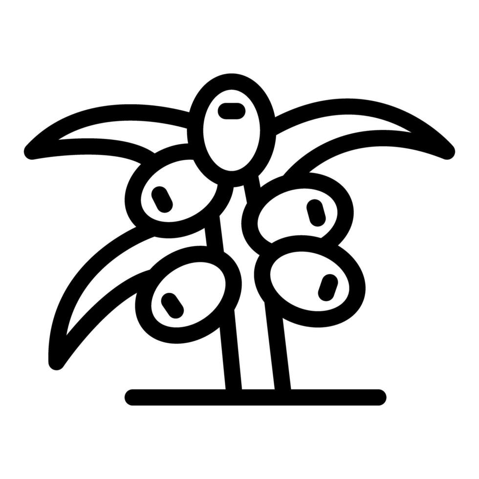 Coffee plant growing delicious arabica beans for fresh brew vector