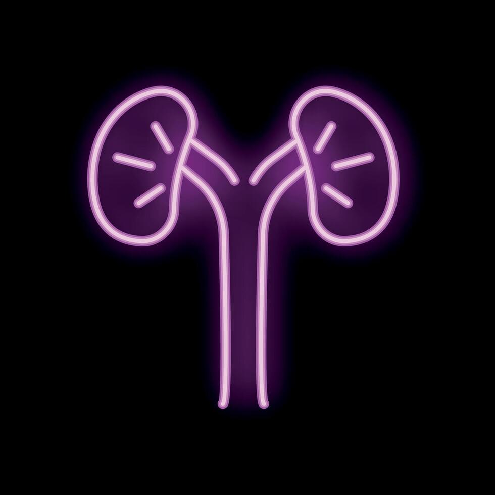 Neon pink kidneys glowing on black background vector
