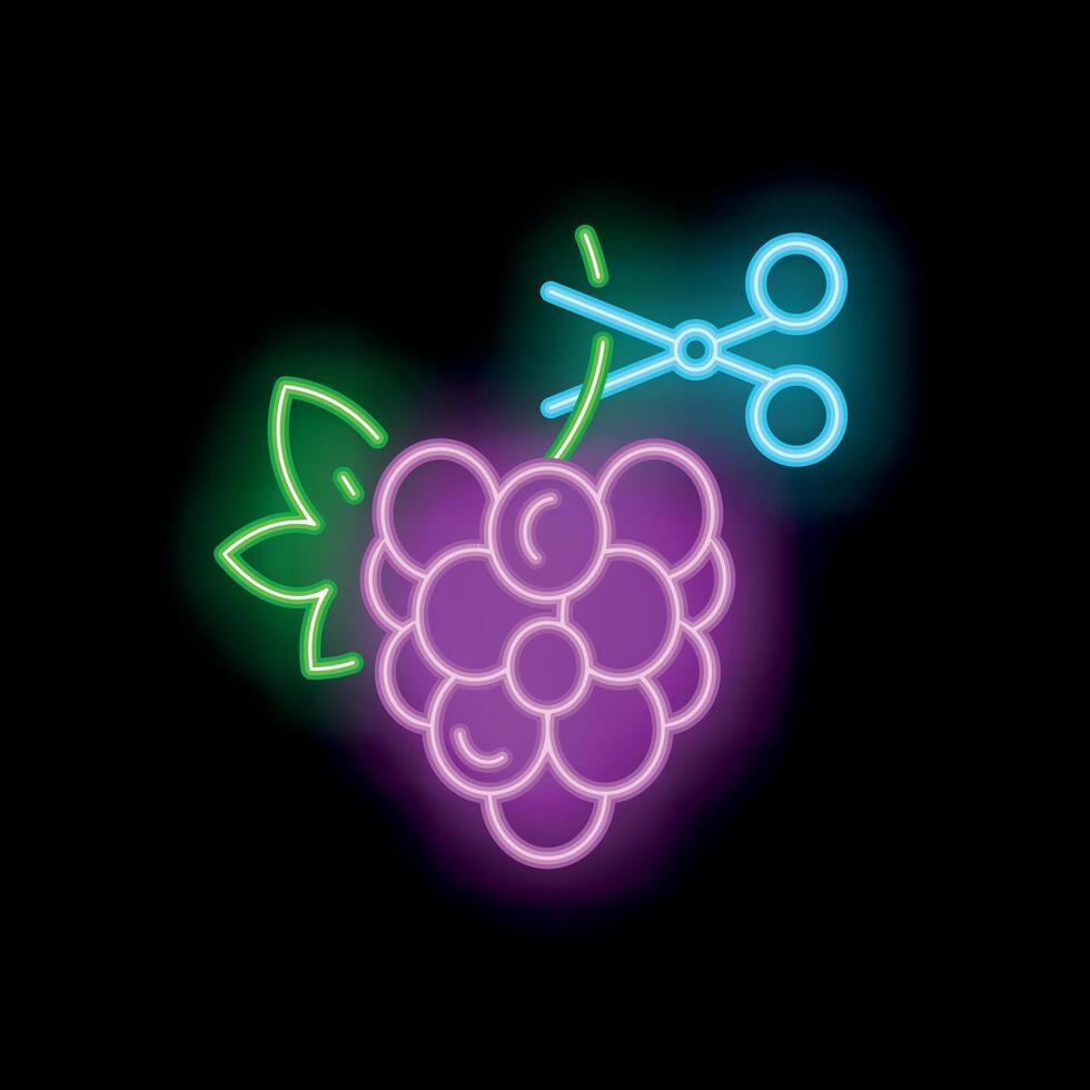 Neon scissors cutting bunch of grapes sign on black background vector
