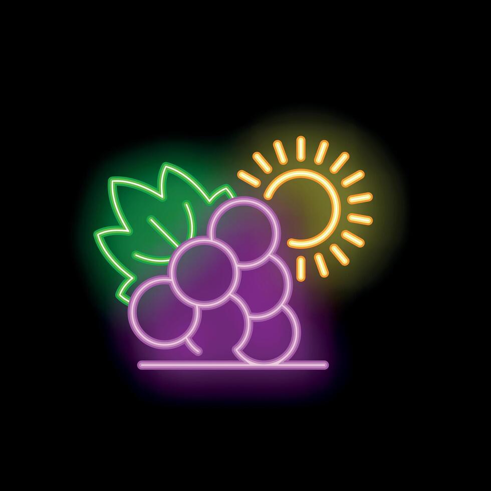 Neon sign representing a bunch of grapes ripening in the sun vector