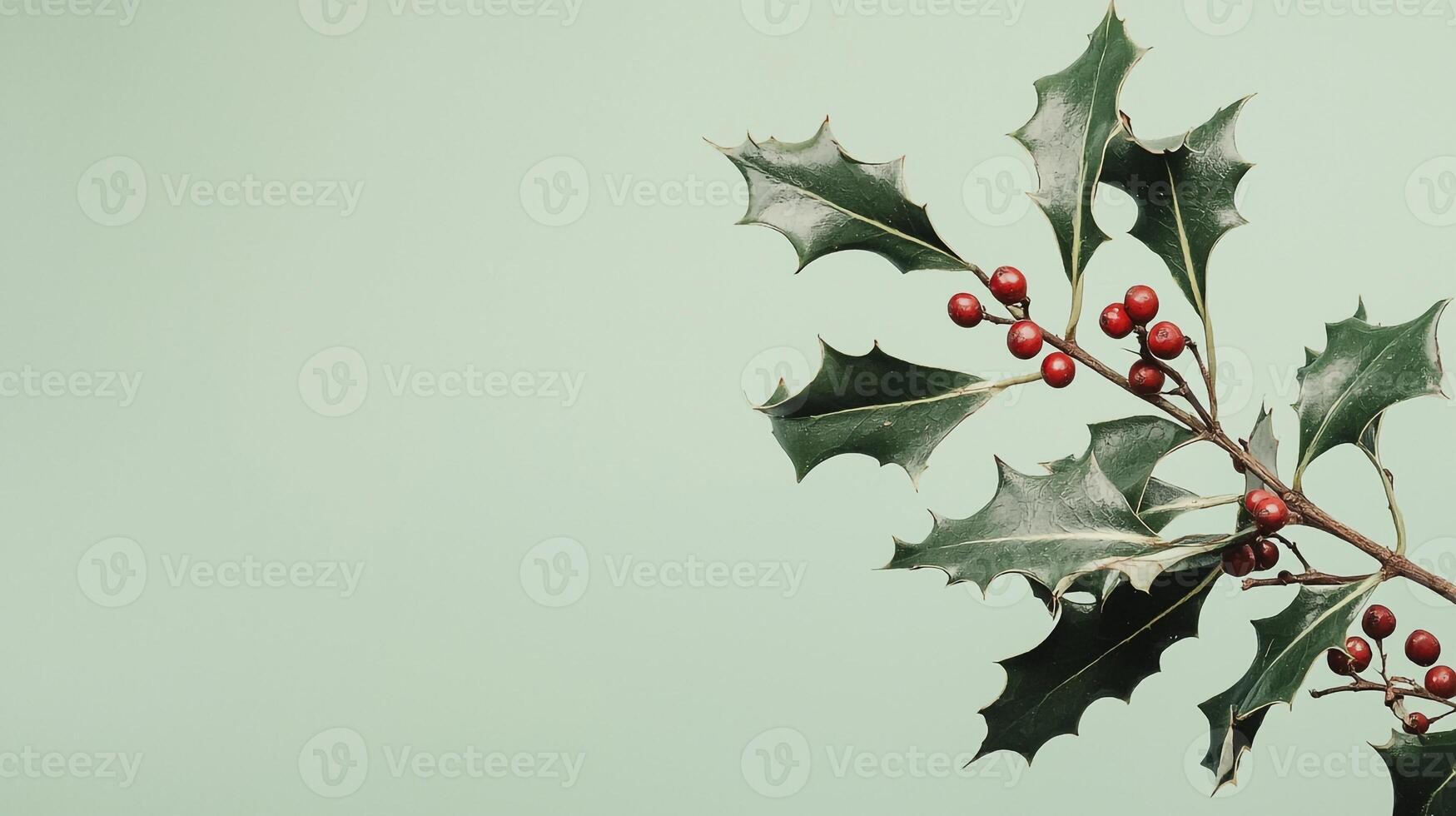Holly branch with red berries and green leaves photo