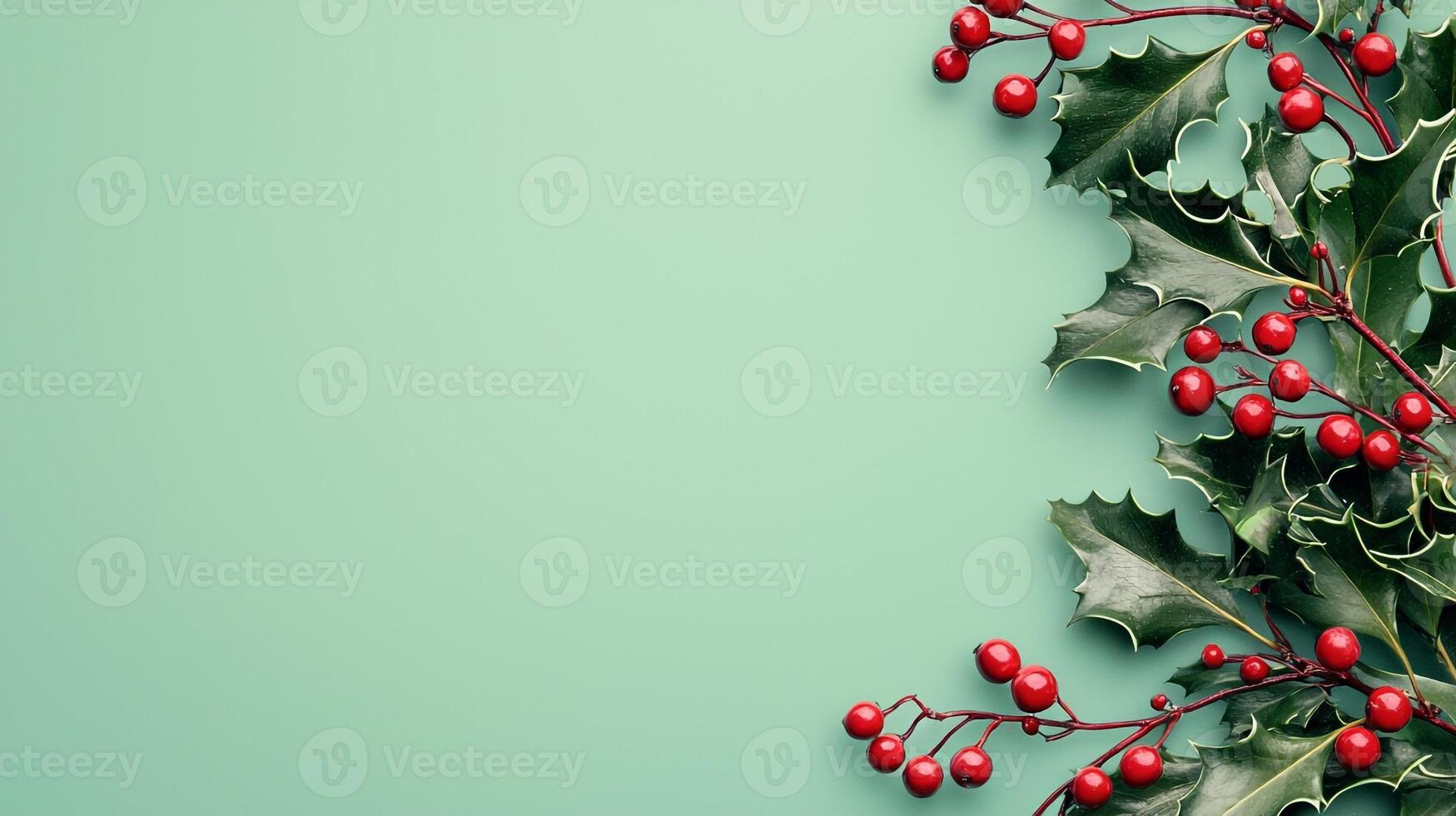 Christmas holly leaves and berries on a green background photo