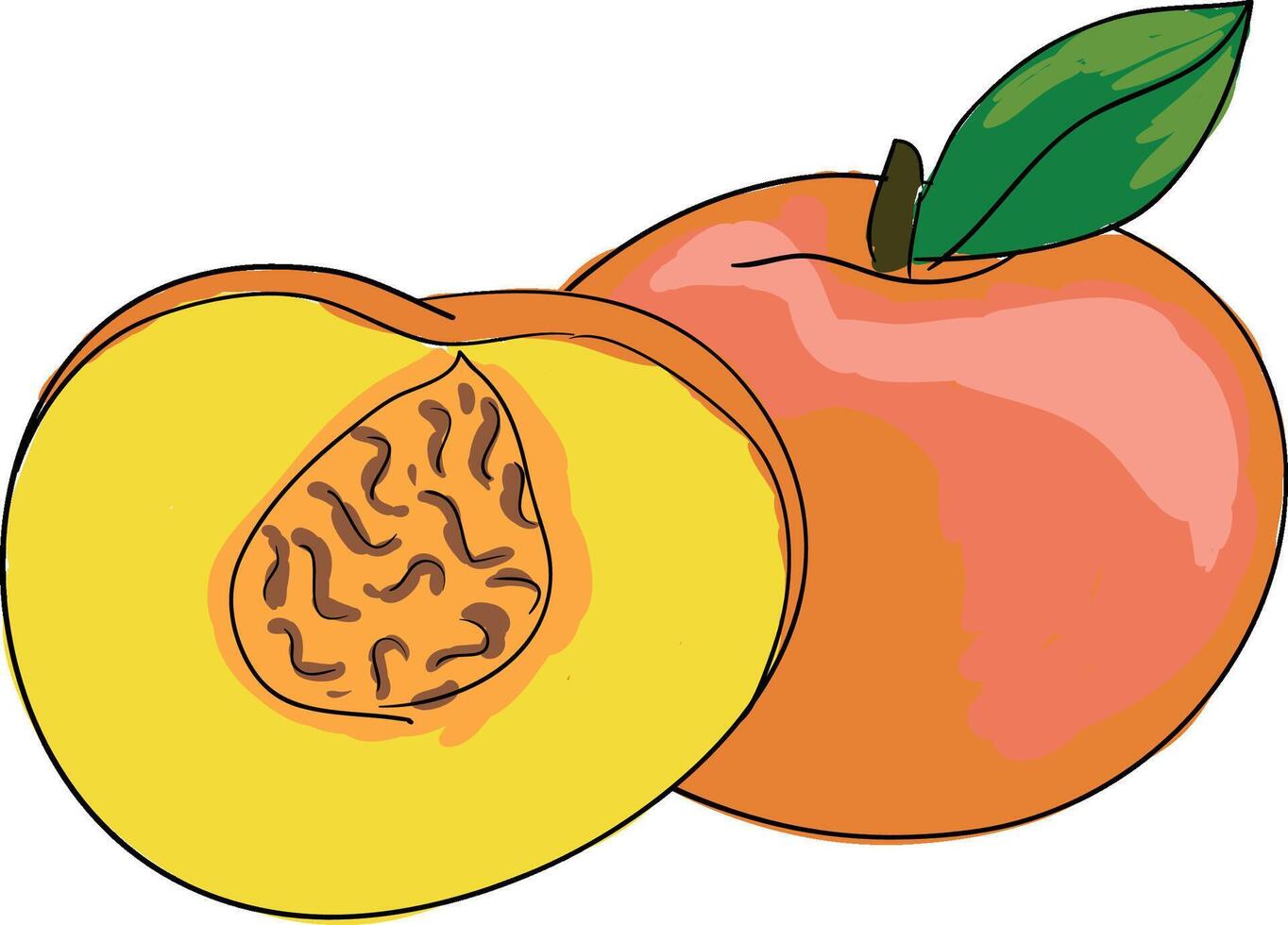 A Beautiful Painting of Peaches and Pear with Leaf vector