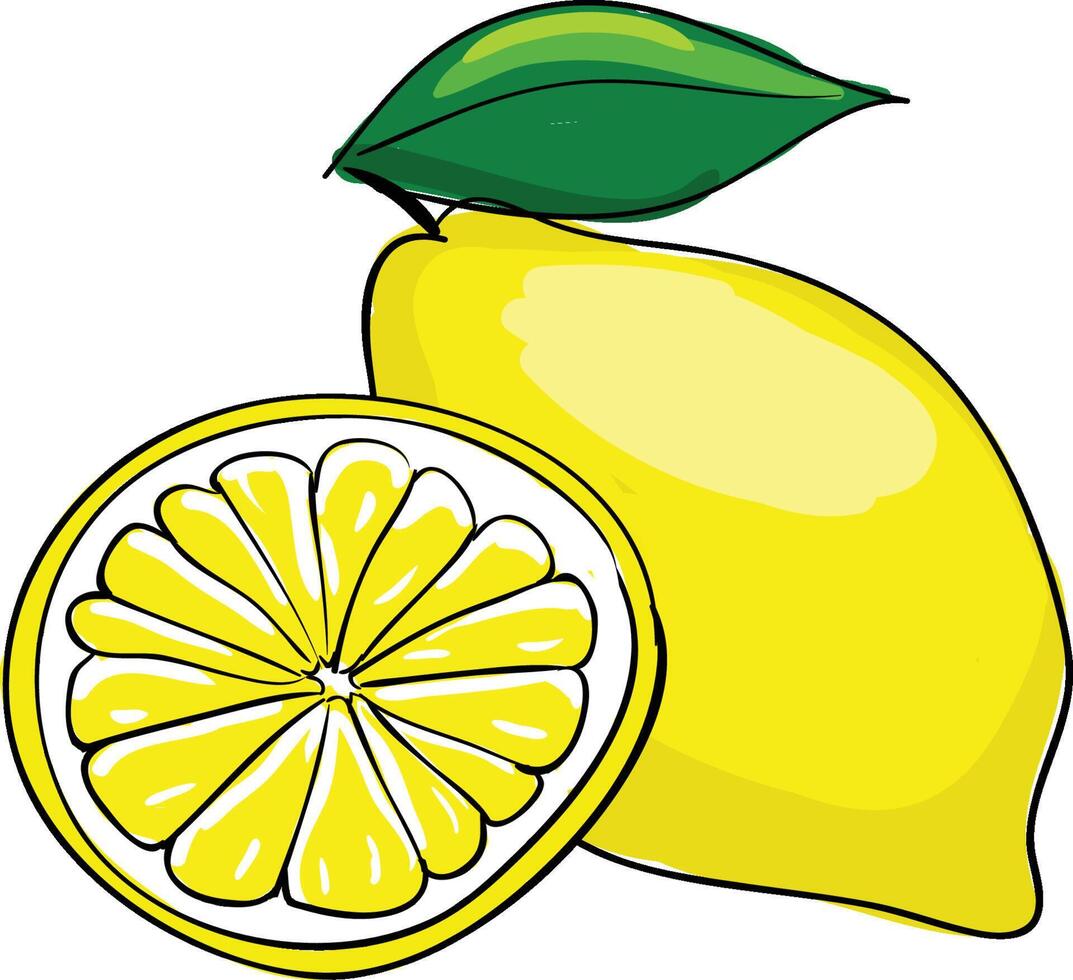 A lemon with a slice and leaves vector
