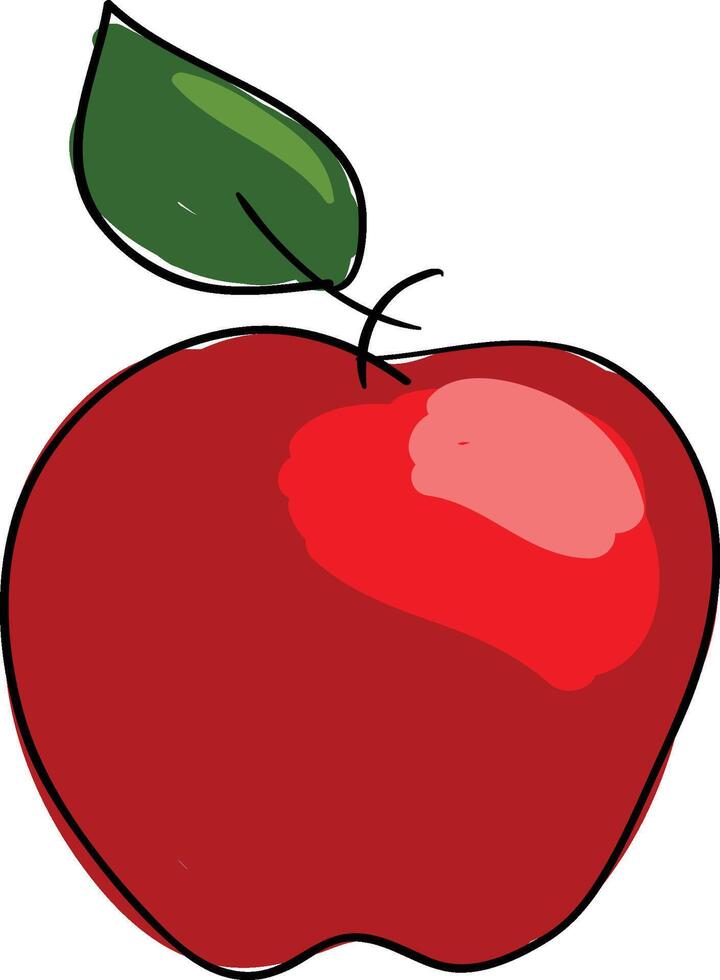 An apple with a leaf on it vector