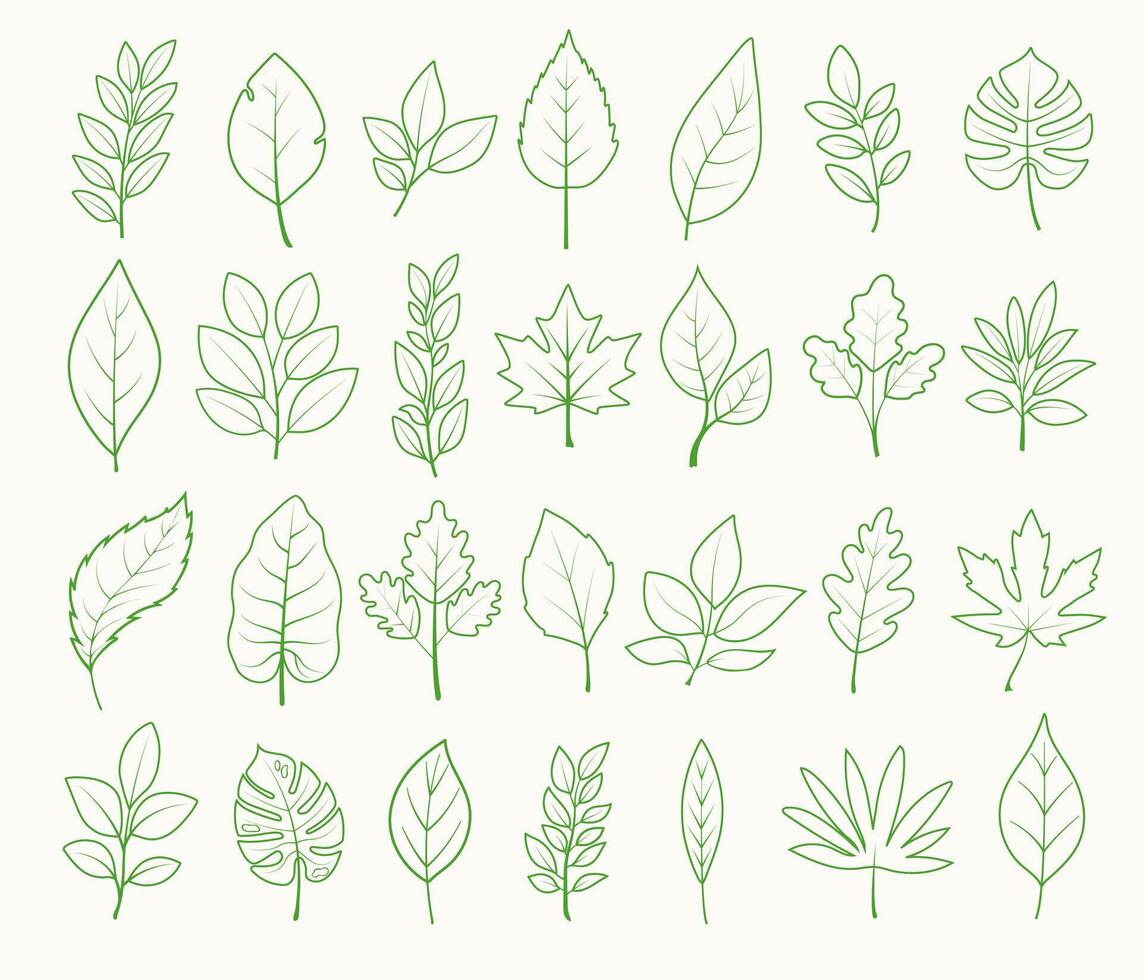 Set of hand drawn leaves. Botanical illustration in sketch style. Template design for decoration, invitations, postcards, print. vector