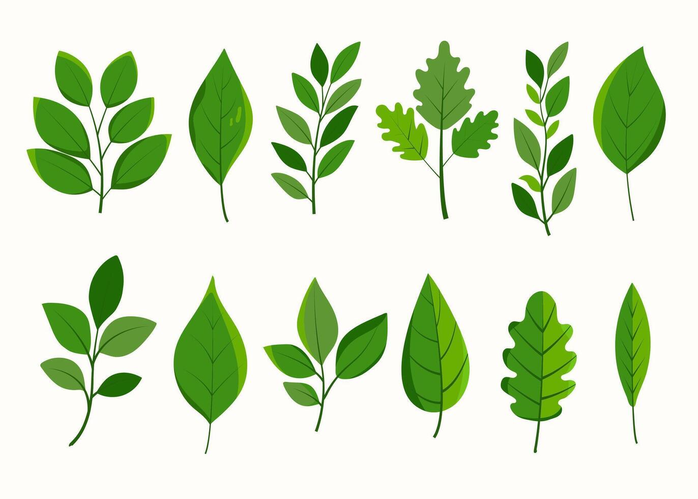 Set of different types of green leaves. Lush foliage collection of unique shapes and vein patterns. Simple flat botanical illustration for nature-themed designs and eco-friendly projects vector