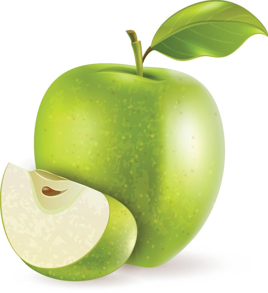 Pear Illustration Design vector