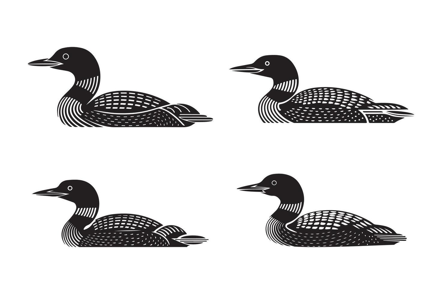 Stylized Common Loon Illustrations, High Quality Wildlife Clipart vector