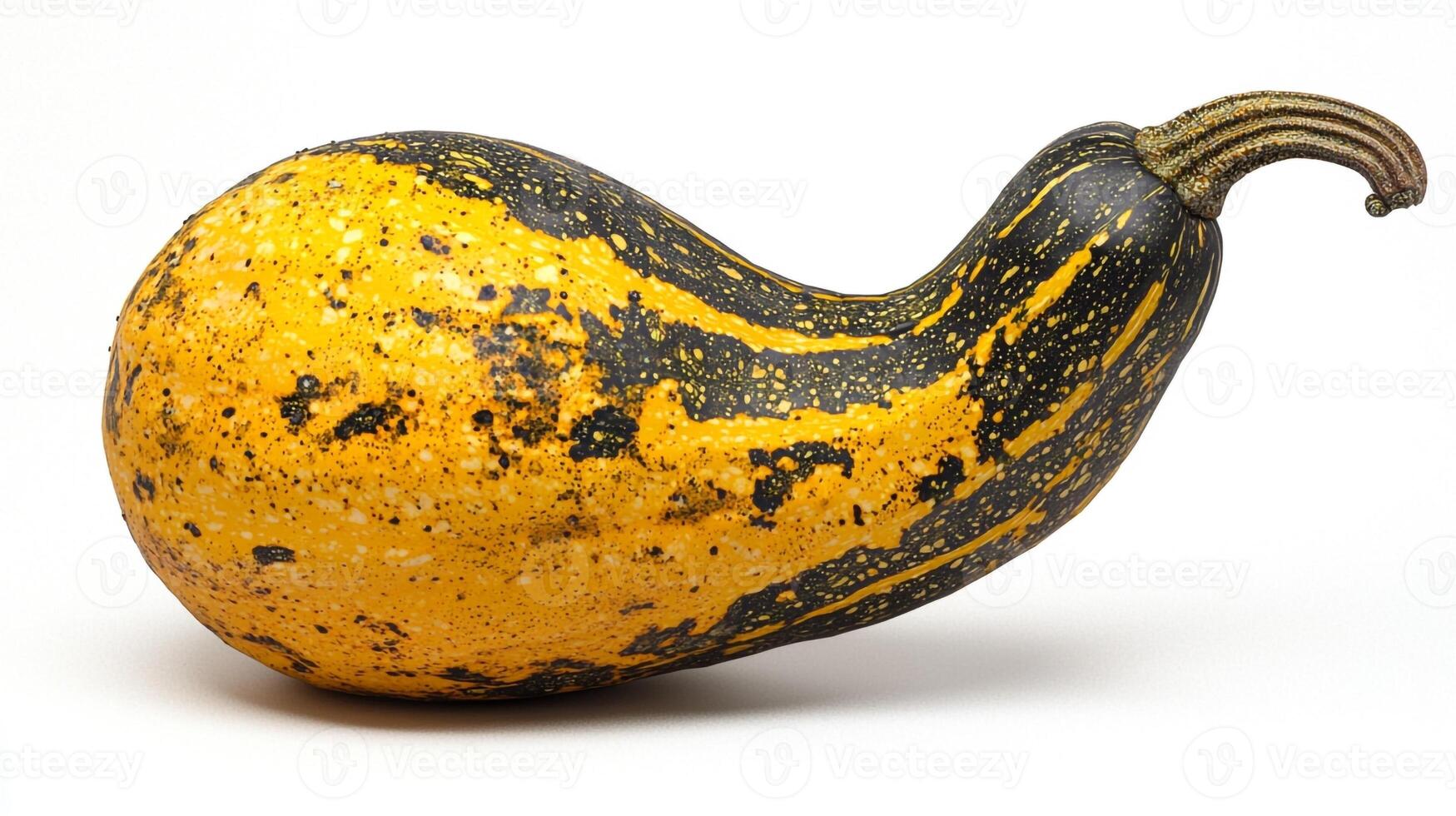 A squash with a long stem photo