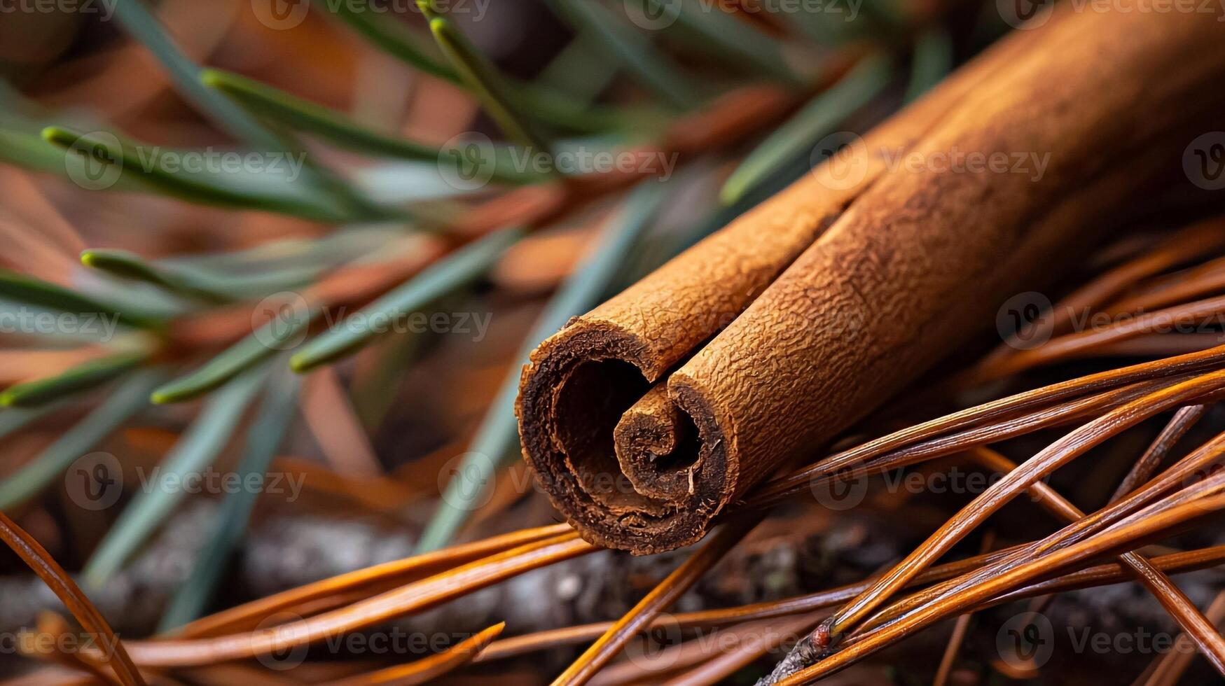 A cinnamon stick on the ground next to pine needles photo