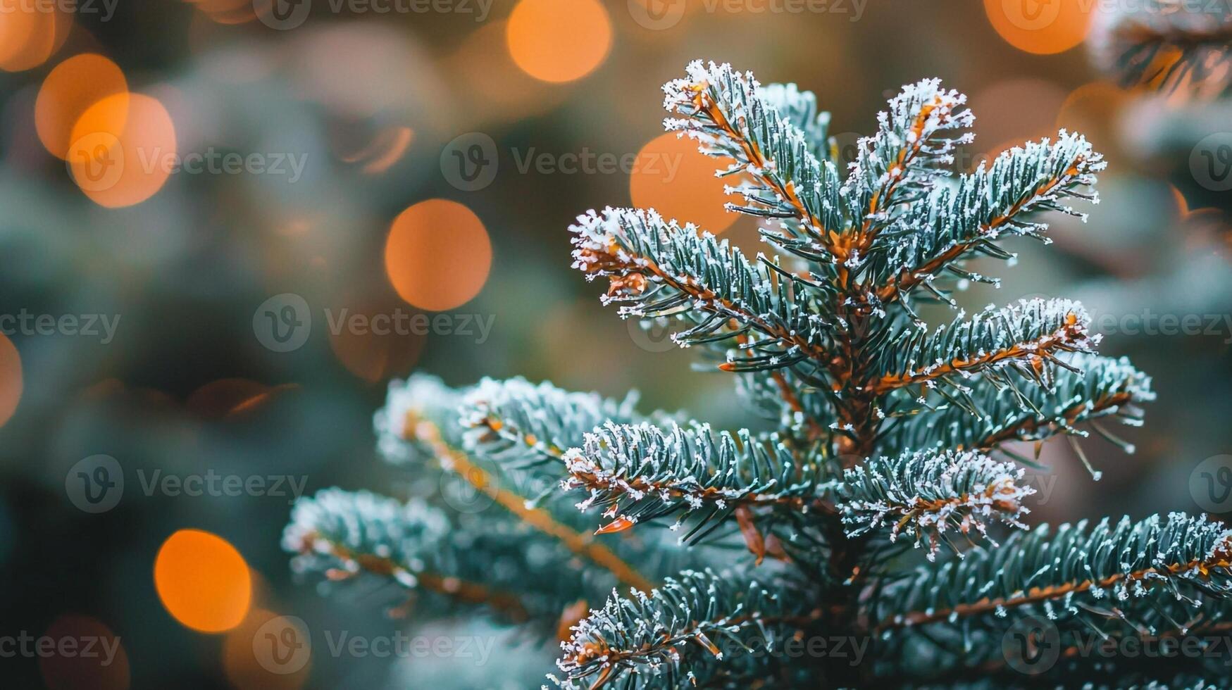 A close up of a fir tree with lights photo