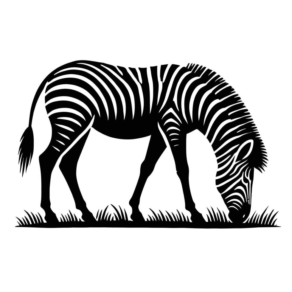 Zebra grazing on grass vector