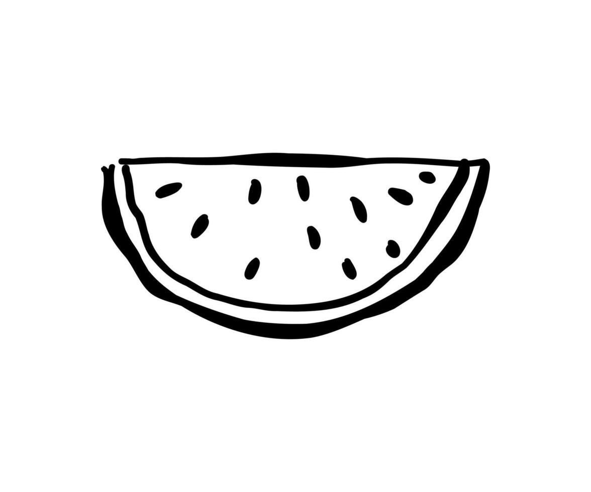 A piece of watermelon drawn by hand in doodle style. Food, kitchen, menu. illustration for design. vector