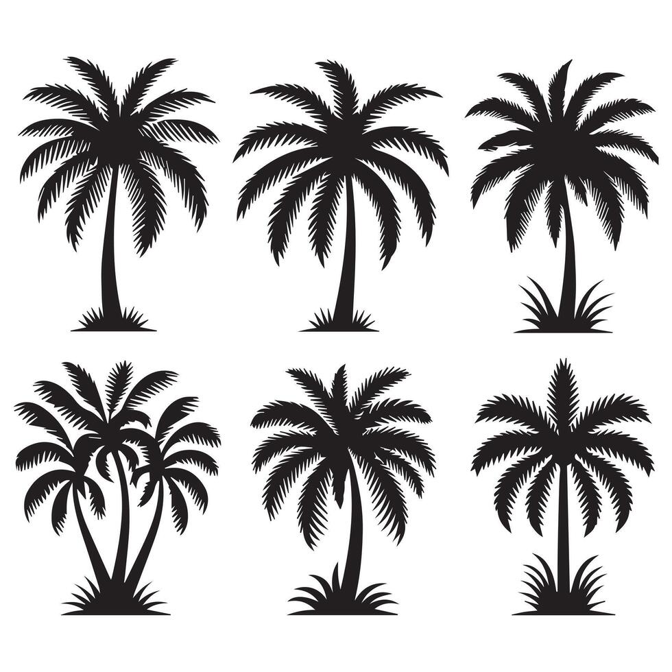 Black Palm Trees Set Isolated On White Background. Palm Silhouettes. Design Of Palm Trees For Posters, Banners And Promotional Items. Illustration. Palm Icon On White Background vector