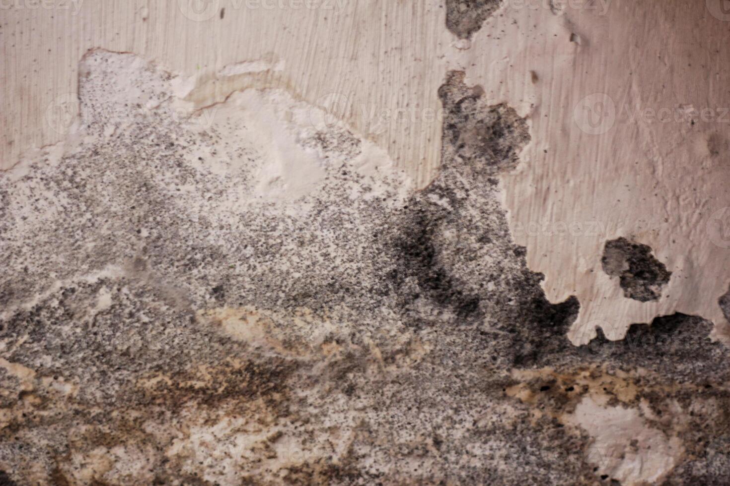 Textured wall with mold and peeling paint, showcasing natural aging, decay, and weathered patterns photo