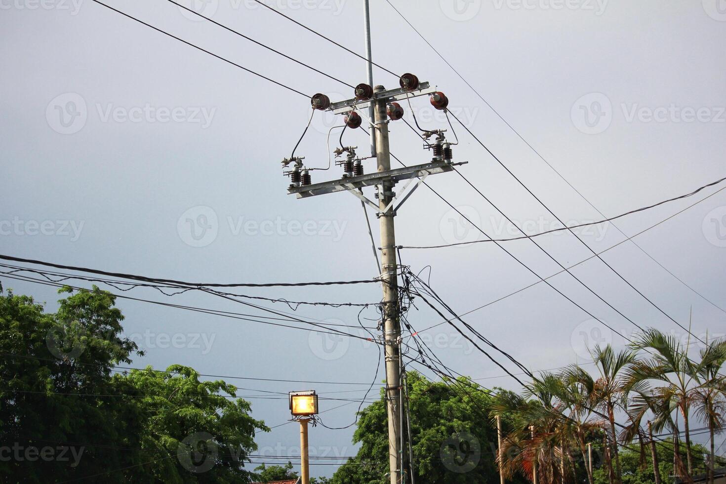 Electric Utility Pole with Power Lines and Trees on Cloudy Day Sky photo