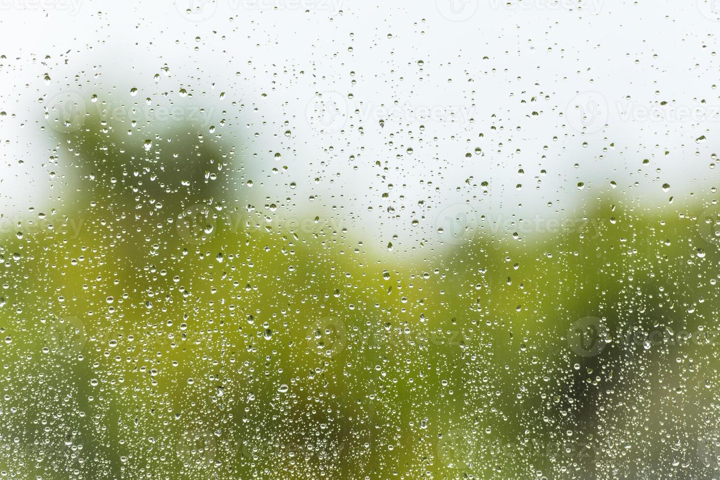 Rain water drops on a window glass photo