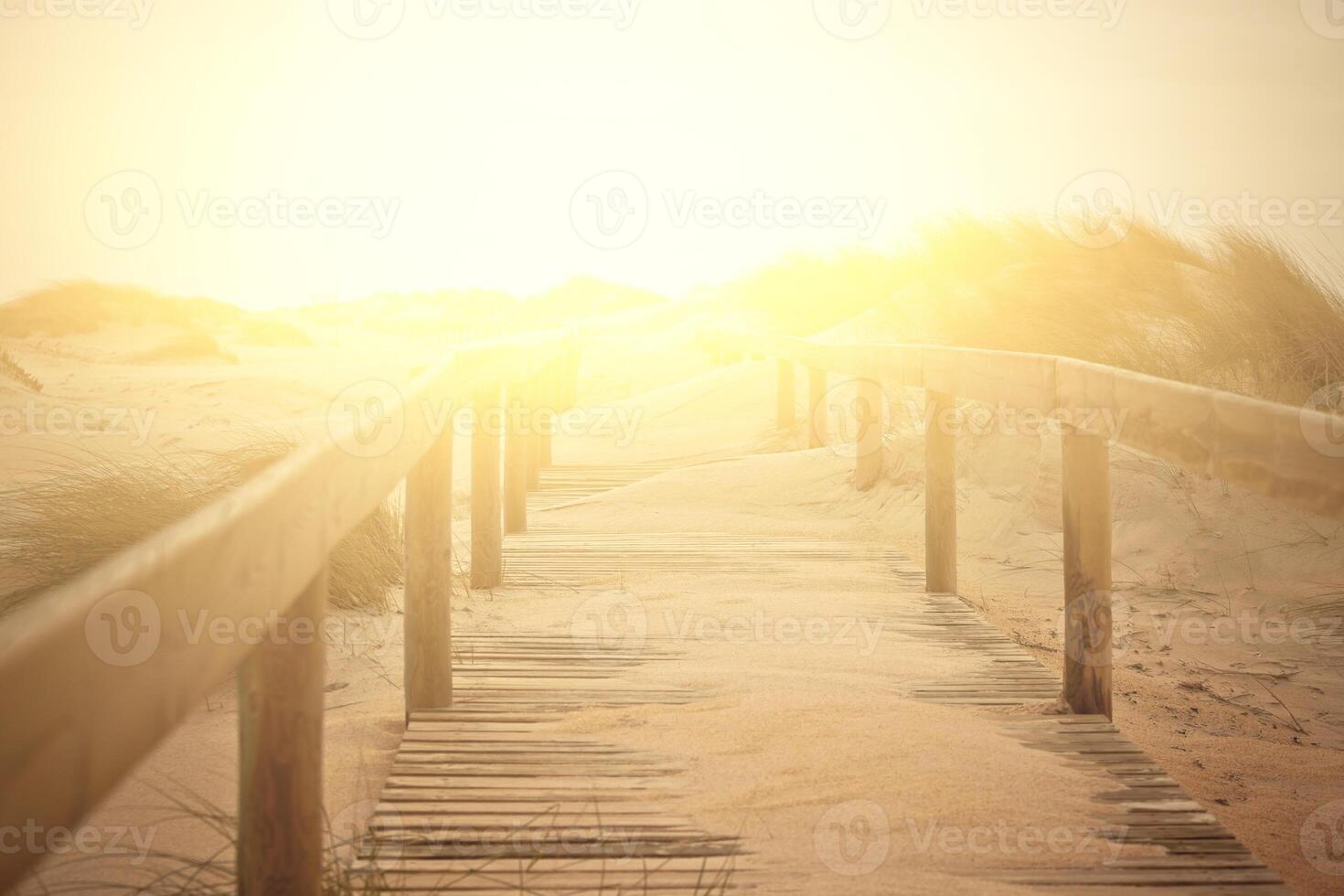 Wooden footpath through dunes at the ocean beach photo