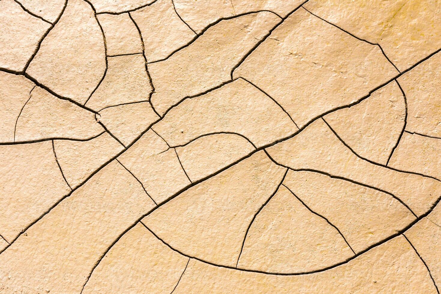 details of a dried cracked seabed photo