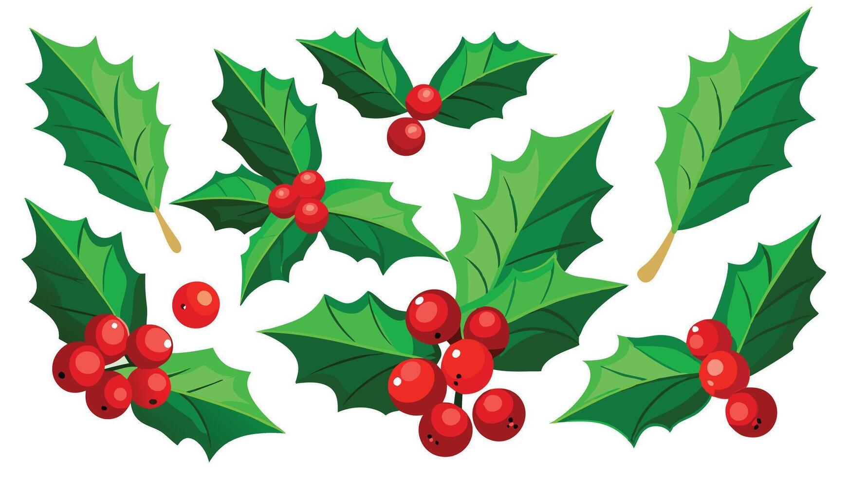 christmas holly leaves and berries illustration vector