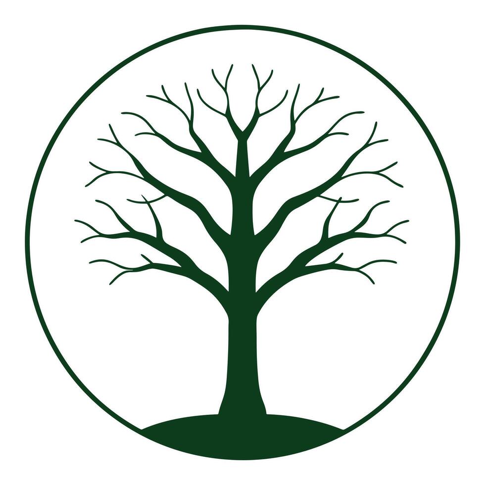 Perfect Tree Illustrations for Craft Ideas vector