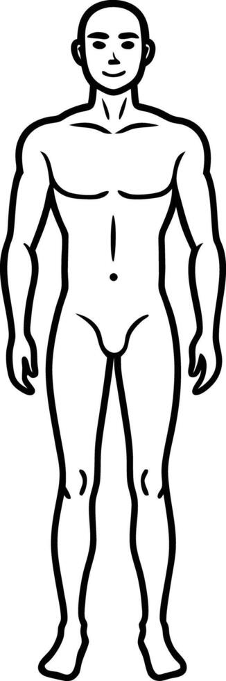 hand drawn human body outline vector