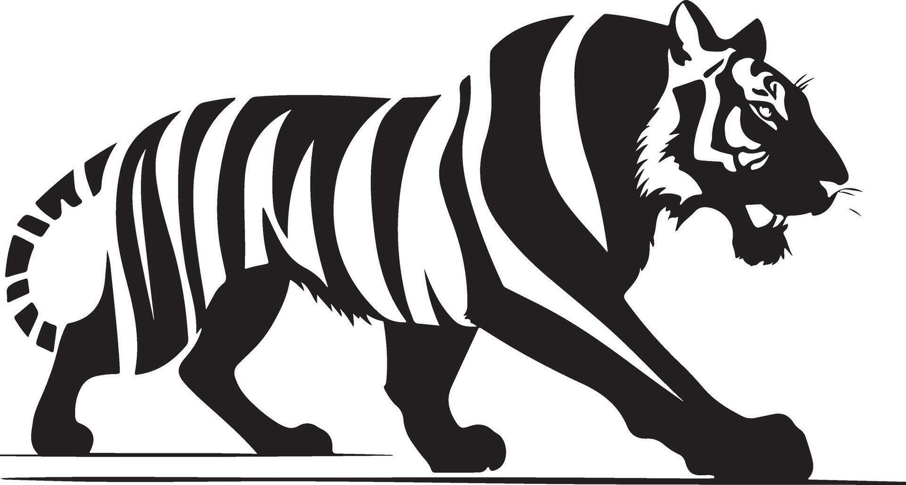 a black and white tiger walking on a white background vector