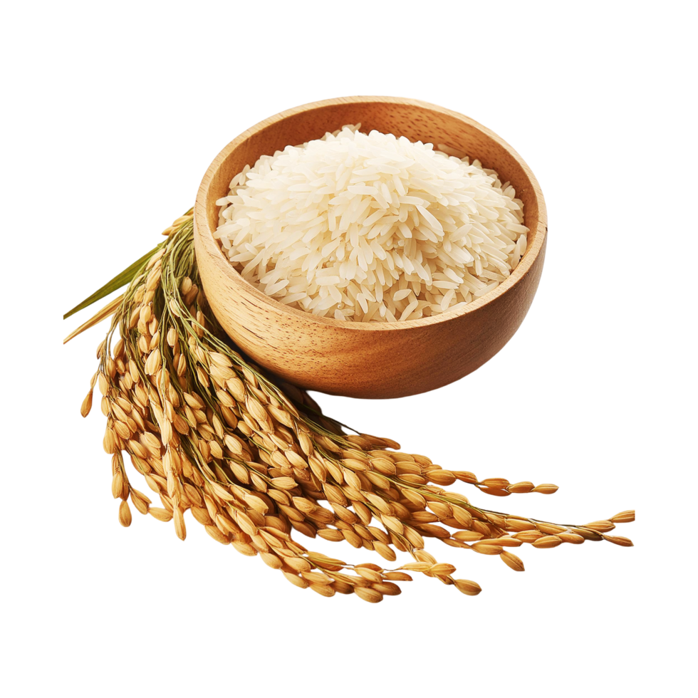 Bunch of rice plant with rice bowl on transparent background png