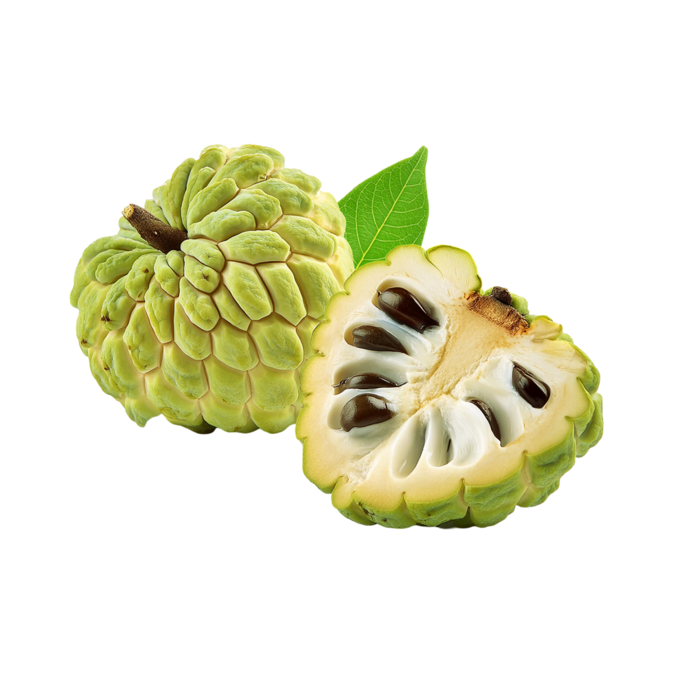 Fresh custard apple with slice on transparent background png