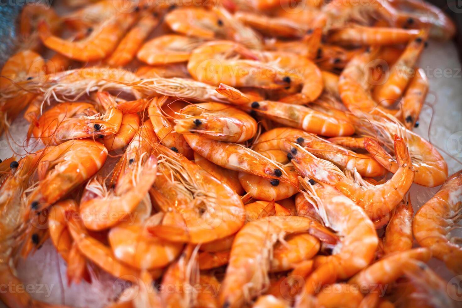Top view of raw whole tiger prawns on ice photo