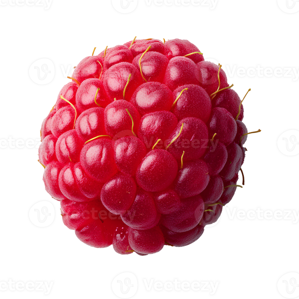 A raspberry is shown on a black background png