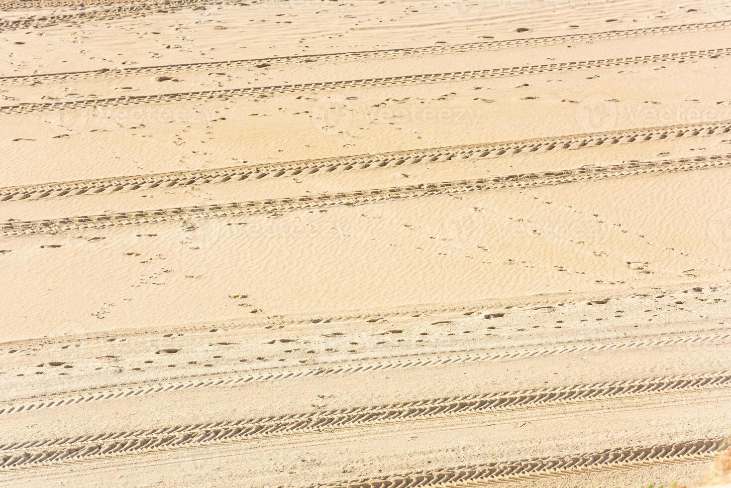 Traces of cars on the sand photo